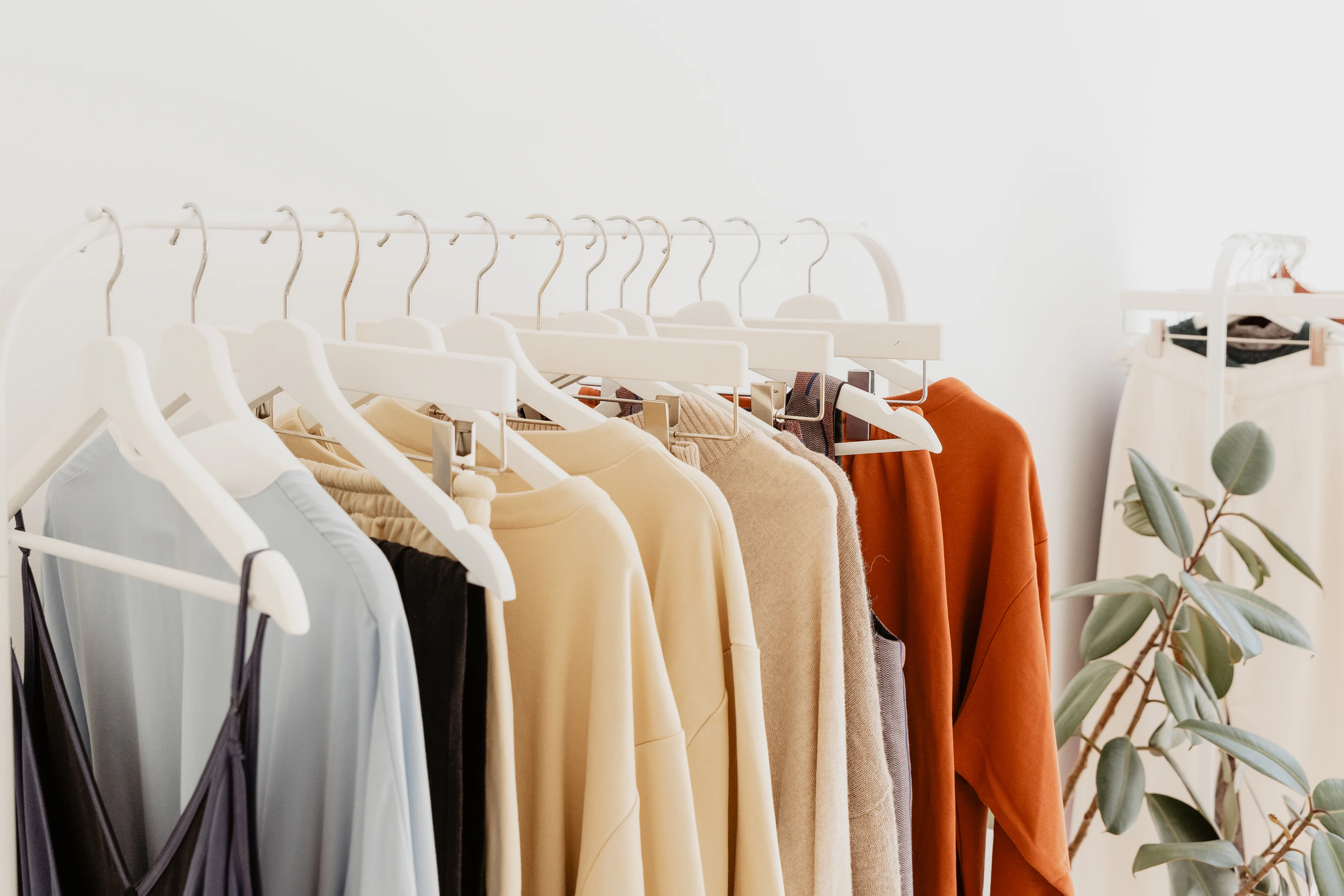 Timeless Style, Modern Joy